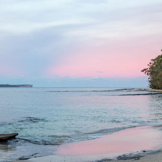 "Shark Net Shores" Photography Print - Belinda Doyle - Resin Artist & South Coast Photographer