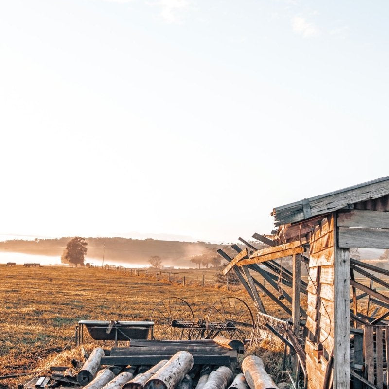 "She Creaks & Sways" Photography Print - Belinda Doyle - Australian Photographer & Resin Artist