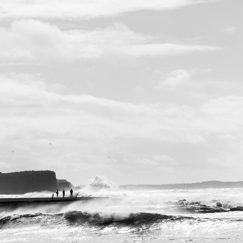 "Spectators" Photography Print - Belinda Doyle - Australian Photographer & Resin Artist