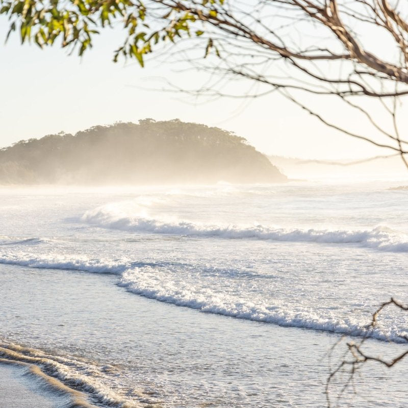 "Stop to Stare" Photography Print - Belinda Doyle - Australian Photographer & Resin Artist
