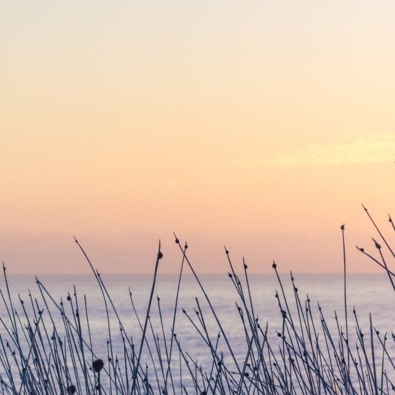 "Summer Haze" Photography Print - Belinda Doyle - Resin Artist & South Coast Photographer