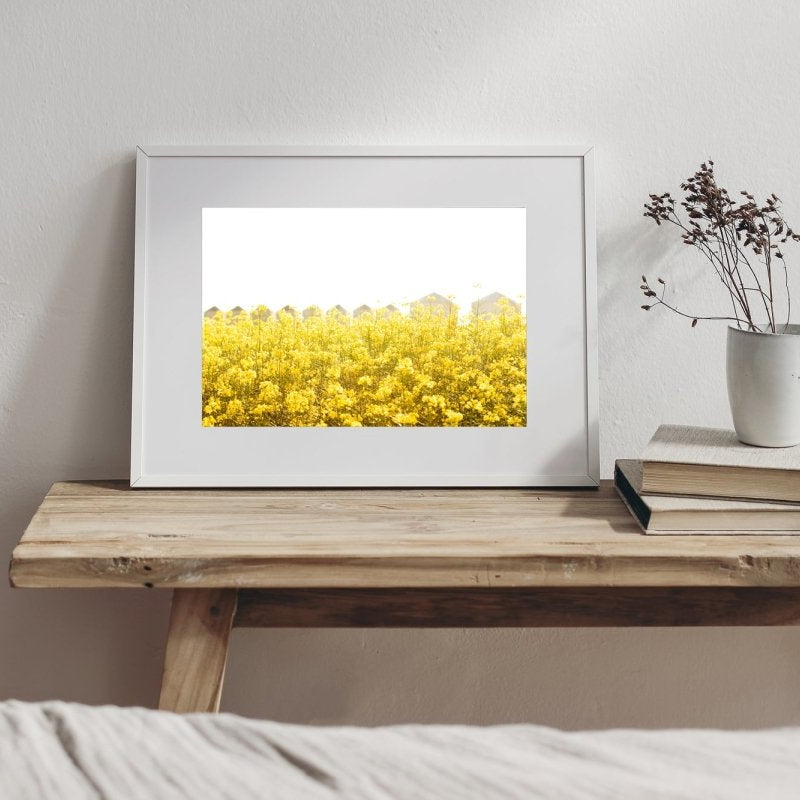 "Sunburst" Photography Print - Belinda Doyle - Australian Photographer & Resin Artist