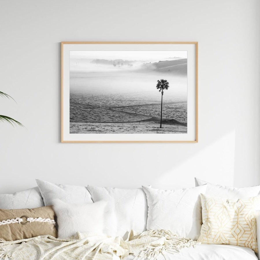 "Swamp Fog BW" (LS) Photography Print - Belinda Doyle - Resin Artist & South Coast Photographer