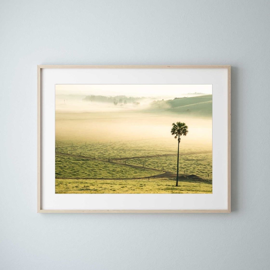 "Swamp Fog LS" Photography Print - Belinda Doyle - Resin Artist & South Coast Photographer