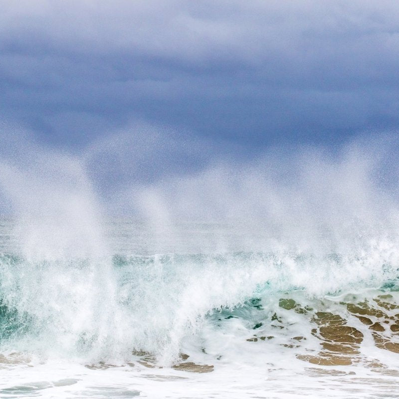 "The Chaser" Photography Print - Belinda Doyle - Australian Photographer & Resin Artist