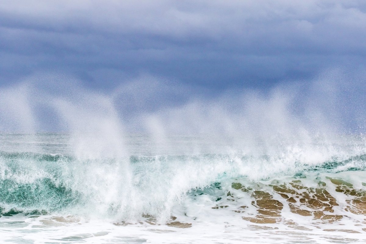 "The Chaser" Photography Print - Belinda Doyle - Australian Photographer & Resin Artist