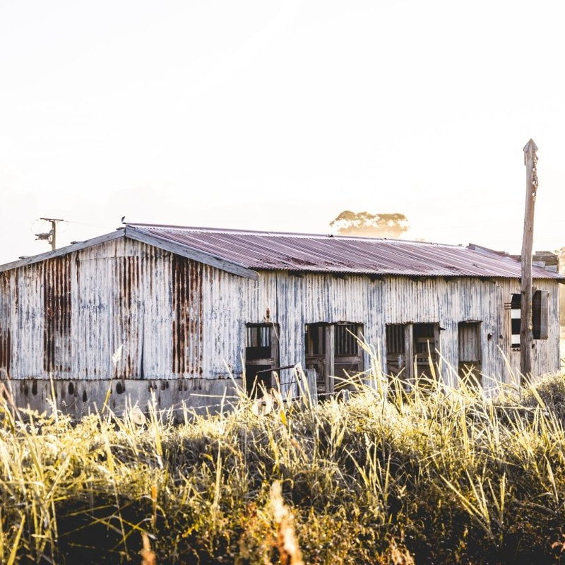 "The Milking Shed" Photography Print - Belinda Doyle - Australian Photographer & Resin Artist