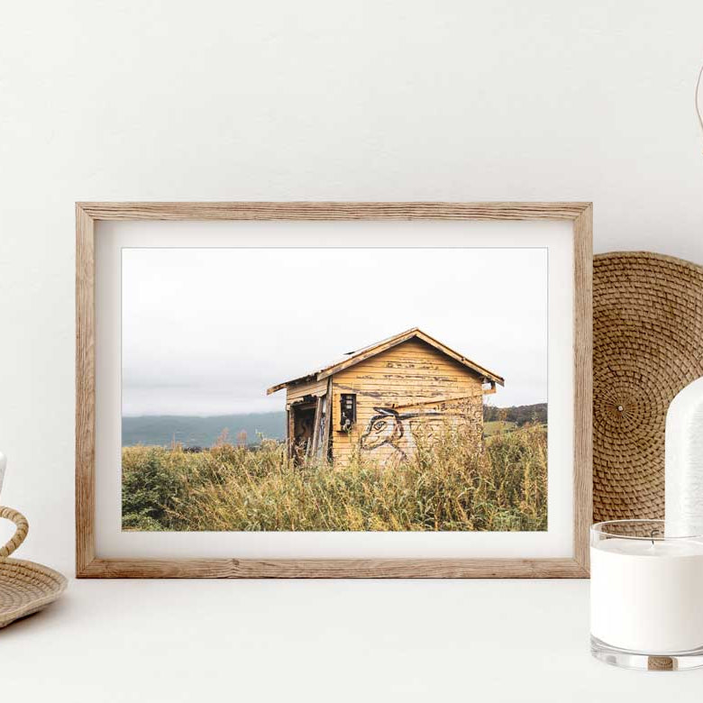 "The Prowler" Photography Print - Belinda Doyle - Resin Artist & South Coast Photographer