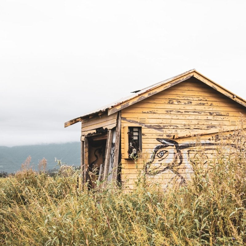 "The Prowler" Photography Print - Belinda Doyle - Australian Photographer & Resin Artist