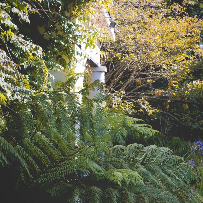 "The Secret Garden" Photography Print - Belinda Doyle - Australian Photographer & Resin Artist