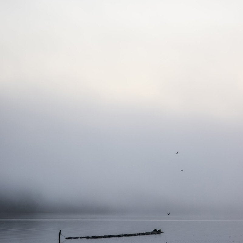 "The Silence" Photography Print - Belinda Doyle - Resin Artist & South Coast Photographer