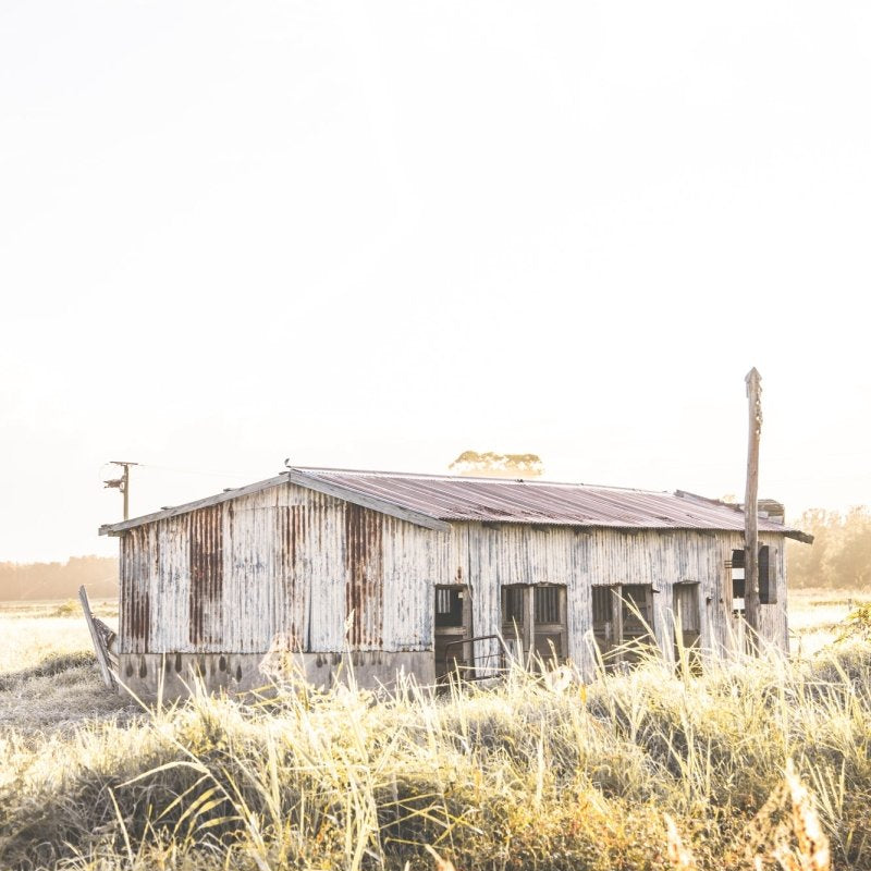 "The Milking Shed" (P) Photography Print - Belinda Doyle - Australian Photographer & Resin Artist