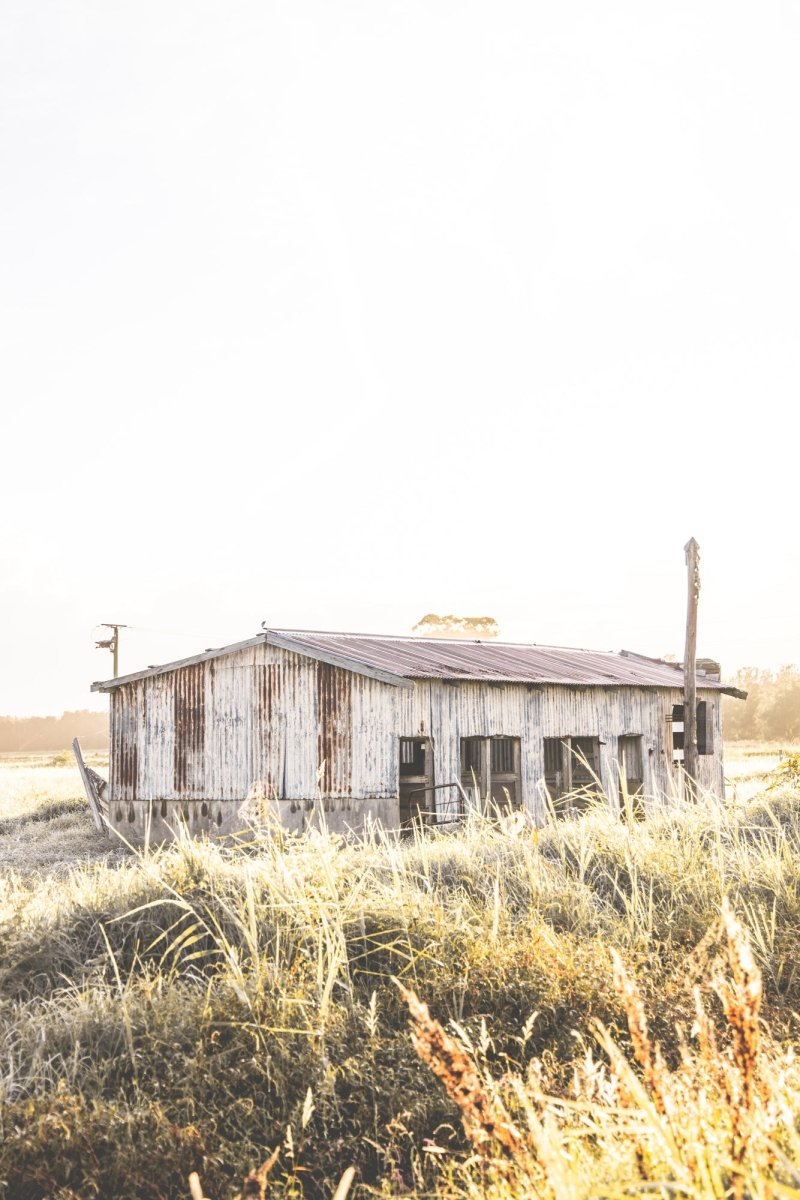 "The Milking Shed" (P) Photography Print - Belinda Doyle - Australian Photographer & Resin Artist