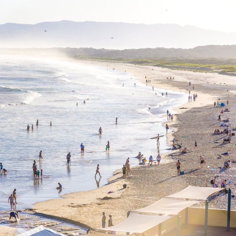 "Through the Fence" Photography Print - Belinda Doyle - Australian Photographer & Resin Artist