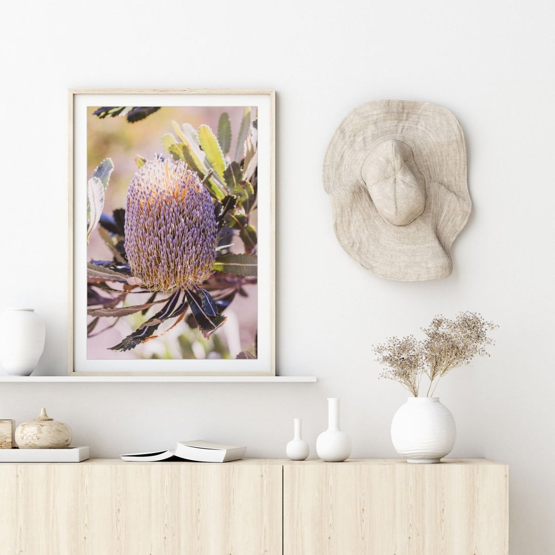 "Tinge of Mauve - Banksia" Photography Print - Belinda Doyle - Resin Artist & South Coast Photographer