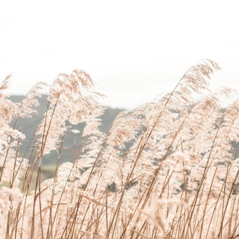 "Warm Breeze" Photography Print - Belinda Doyle - Resin Artist & South Coast Photographer