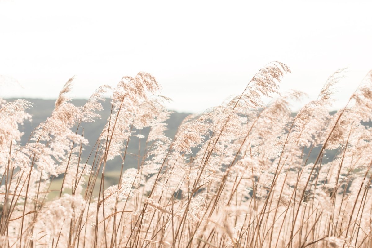 "Warm Breeze" Photography Print - Belinda Doyle - Resin Artist & South Coast Photographer