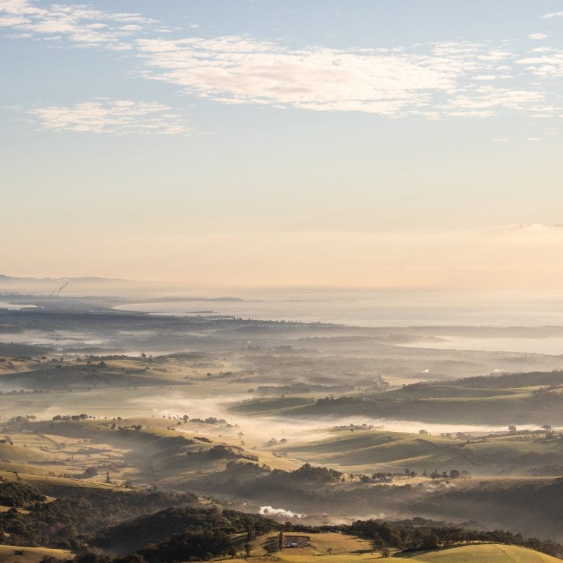 "We are One" LS Photography Print - Belinda Doyle - Australian Photographer & Resin Artist