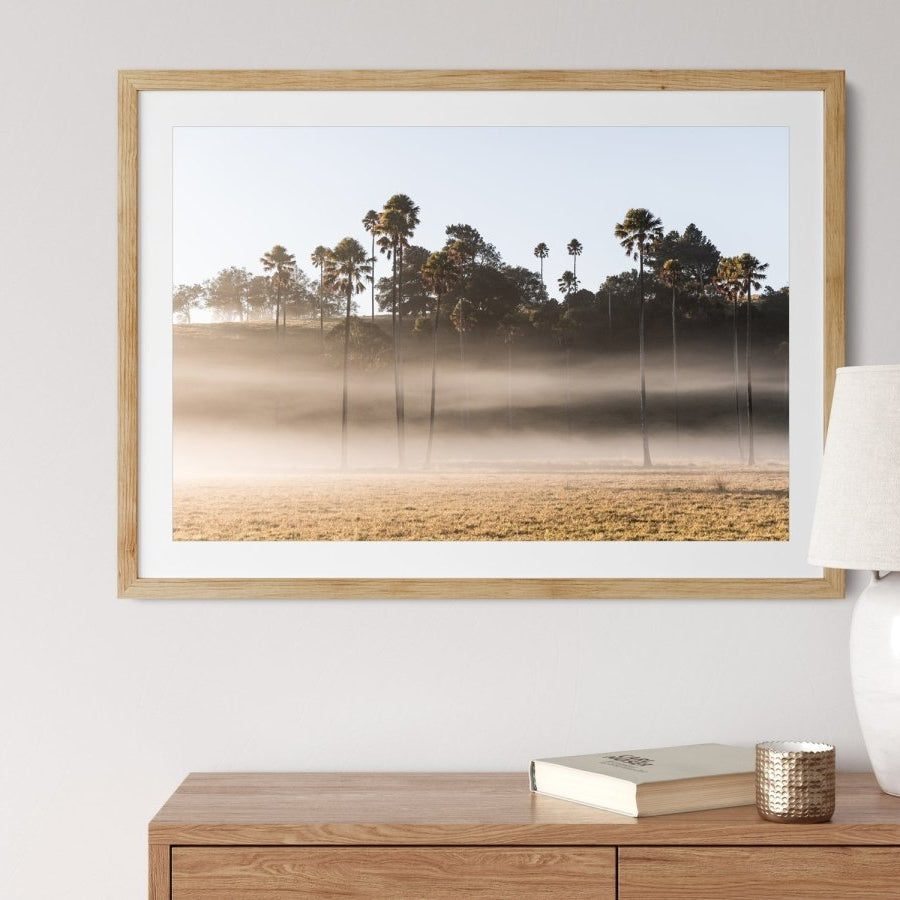 "Wispy Palms" Photography Print - Belinda Doyle - Australian Photographer & Resin Artist