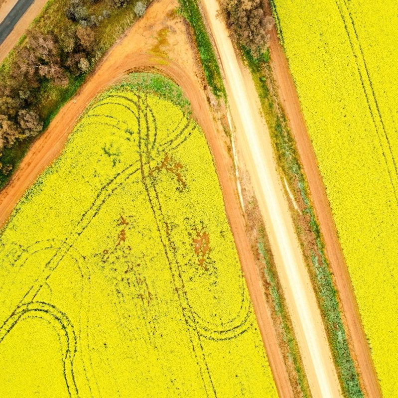 "Zesty" Photography Print - Belinda Doyle - Australian Photographer & Resin Artist