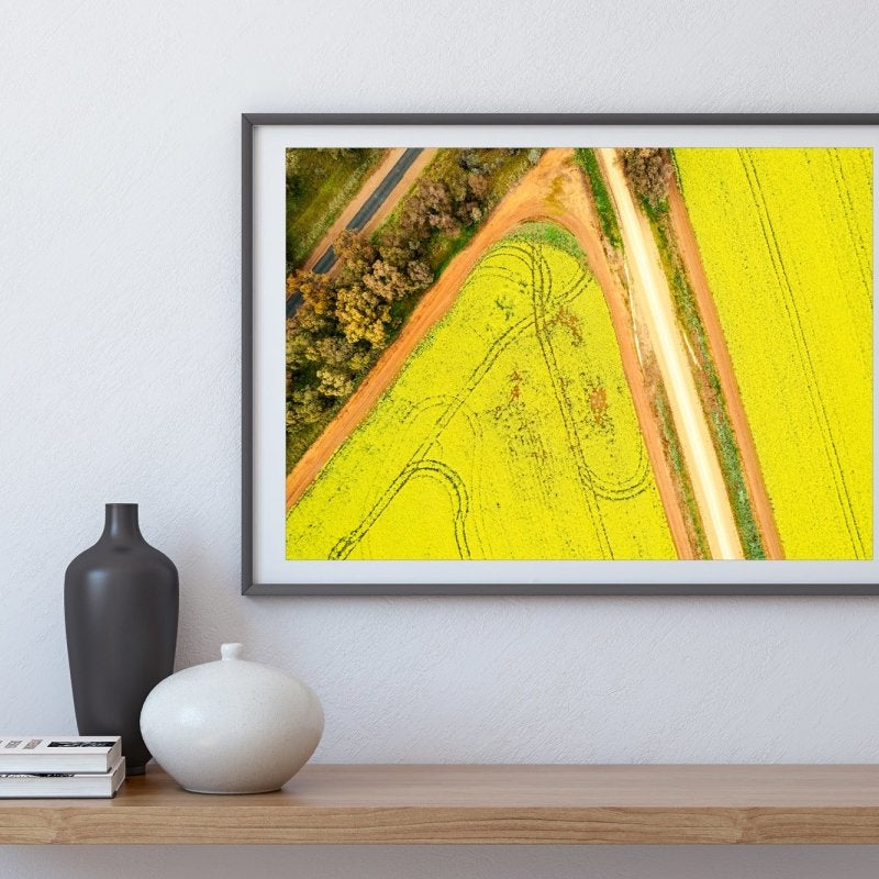 "Zesty" Photography Print - Belinda Doyle - Australian Photographer & Resin Artist