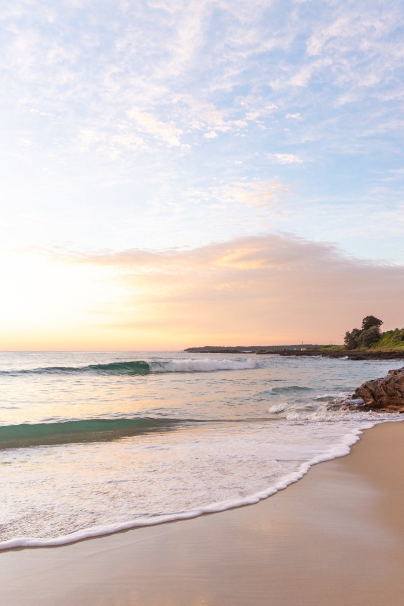 "Soft Light Over Cowries" Photography Print - Belinda Doyle - Australian Photographer & Resin Artist