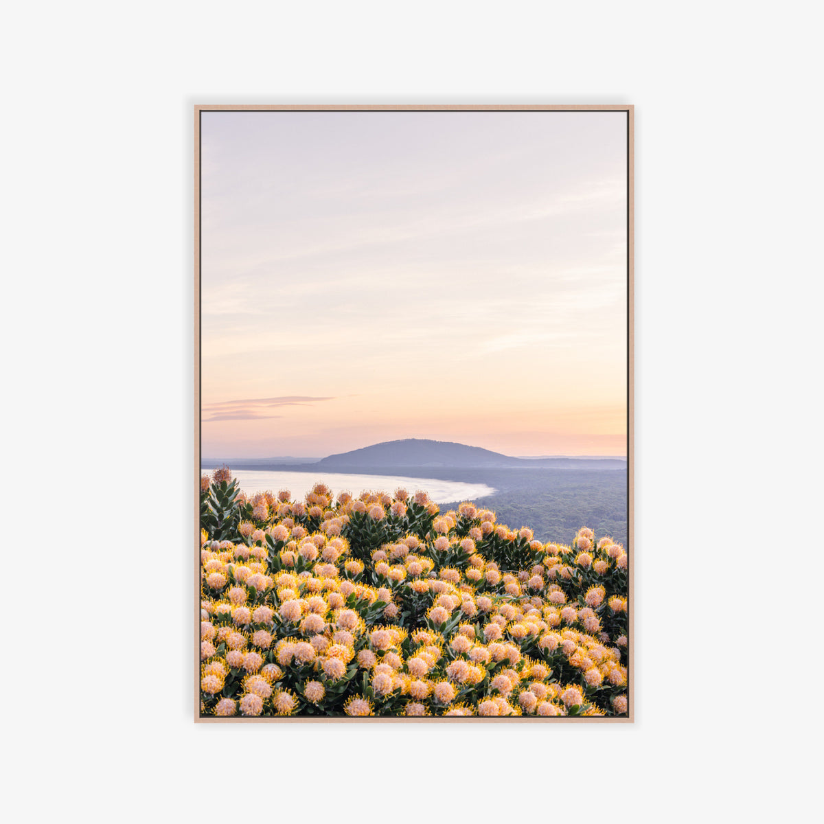 "She Blooms at Dusk" Photography Print - Belinda Doyle - Australian Photographer & Resin Artist