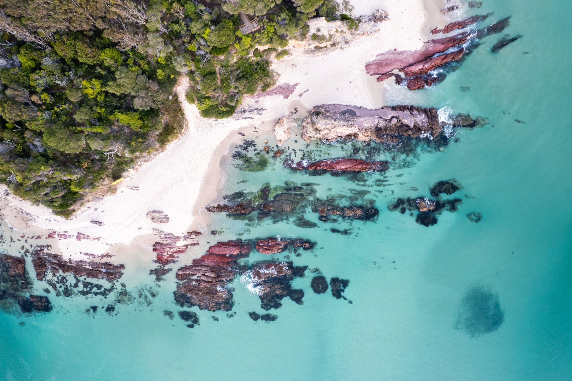 "Bait Ball Blue" Photography Print - Belinda Doyle - Australian Photographer & Resin Artist