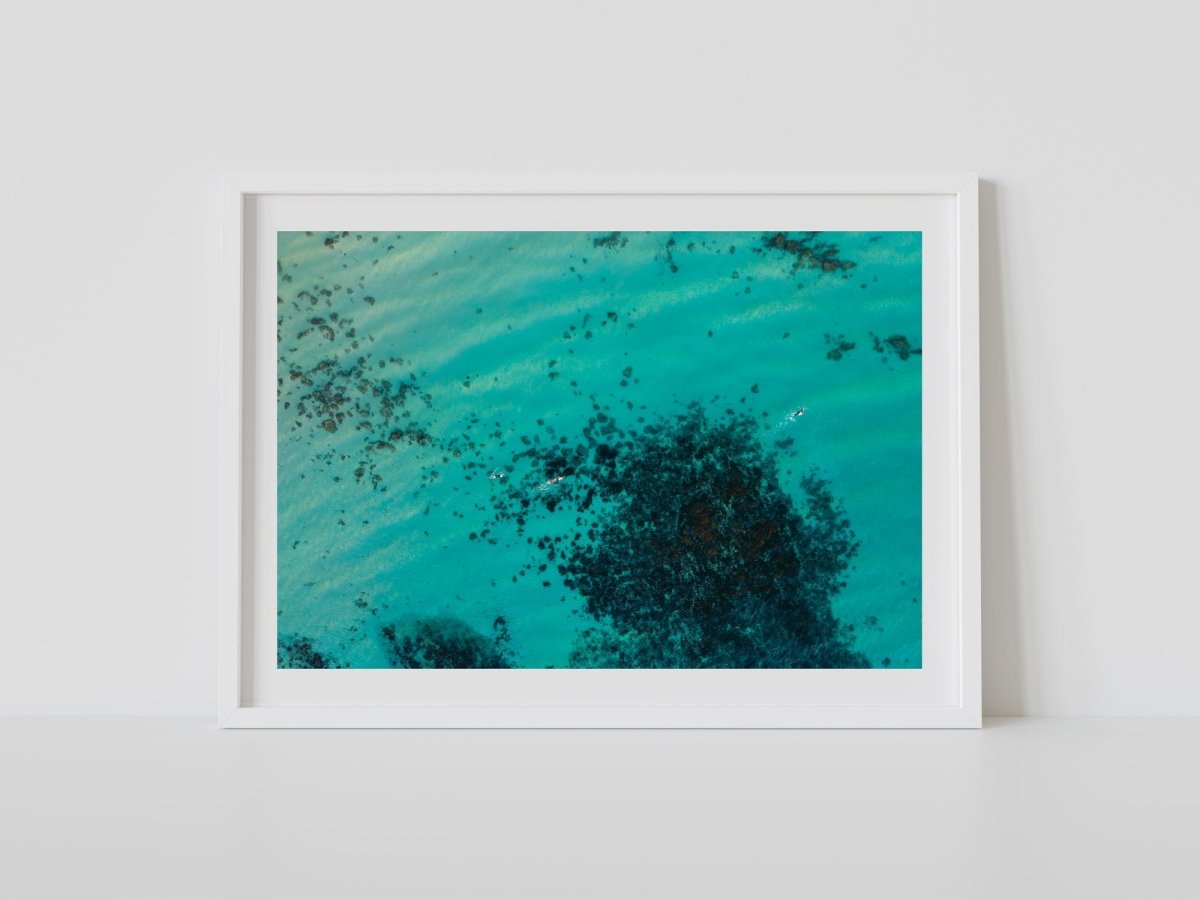 "Bold in Blue" Photography Print - Belinda Doyle - Australian Photographer & Resin Artist
