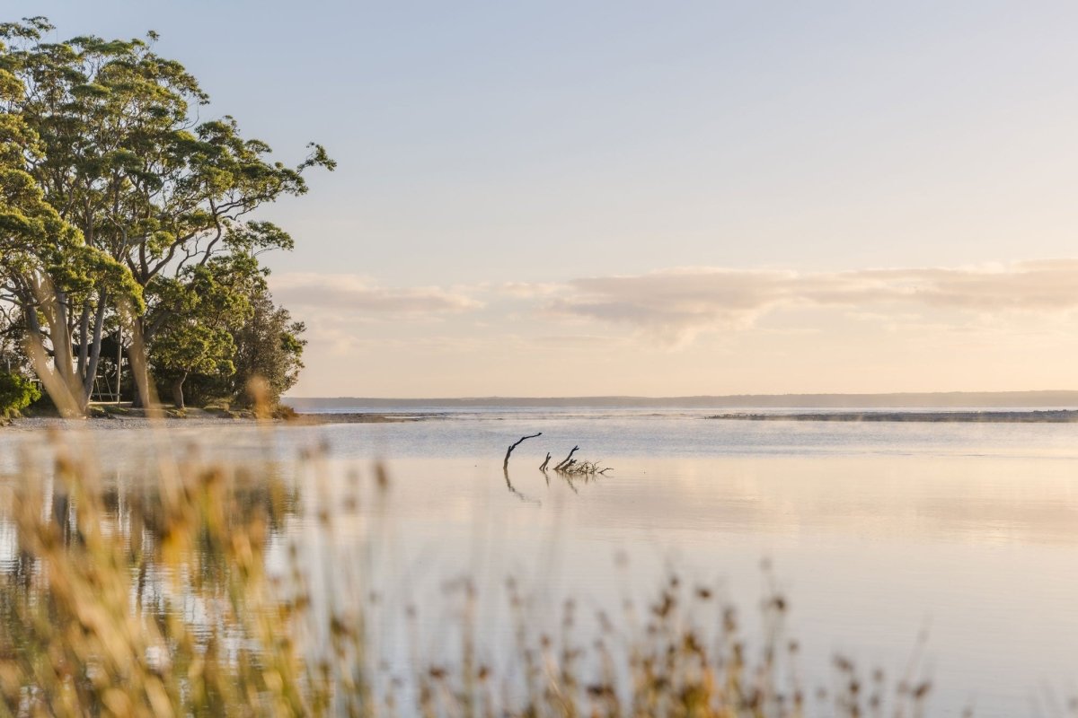 "Carried by the Tide" Photography Print - Belinda Doyle - Australian Photographer & Resin Artist