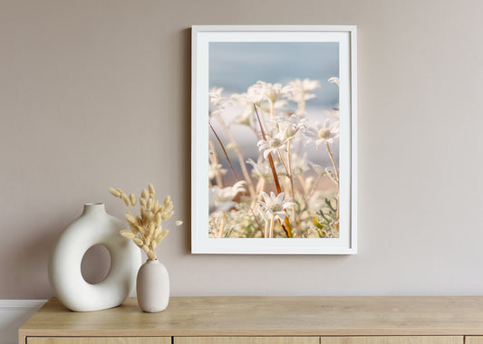 "Coastal Petals" Photography Print