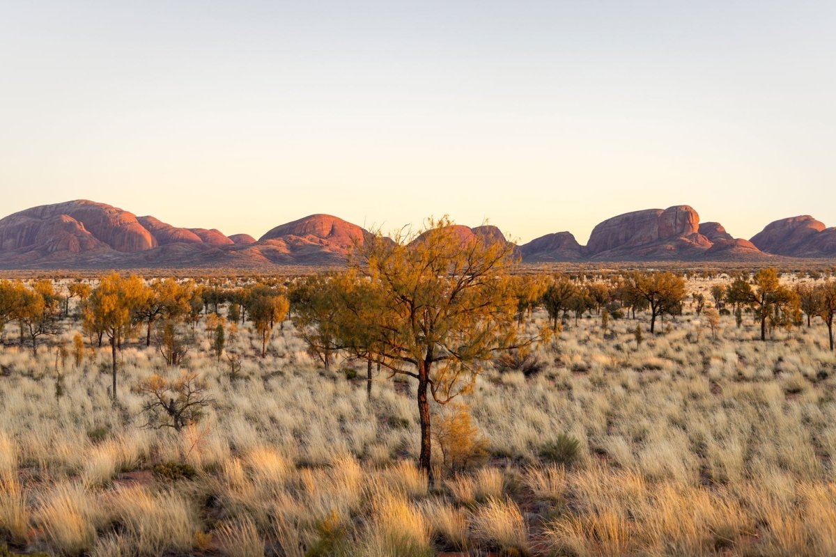"Copper Dawn" Kata Tjuṯa Sunrise Photography Print - Belinda Doyle - Australian Photographer & Resin Artist