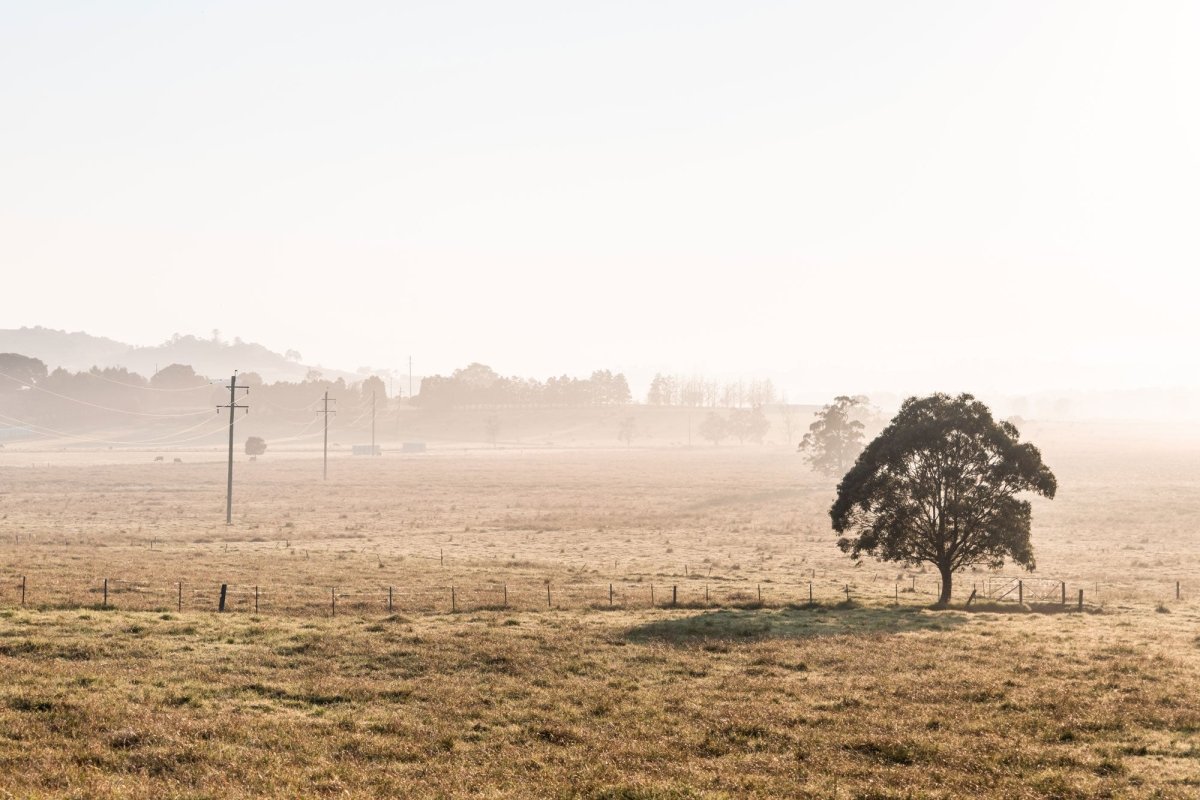 "Horizons of Berry" Photography Print - Belinda Doyle - Australian Photographer & Resin Artist