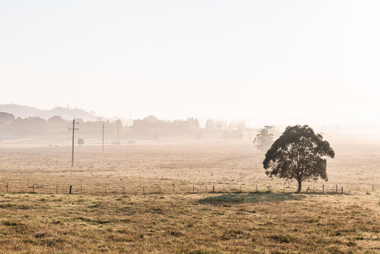 "Horizons of Berry" Photography Print