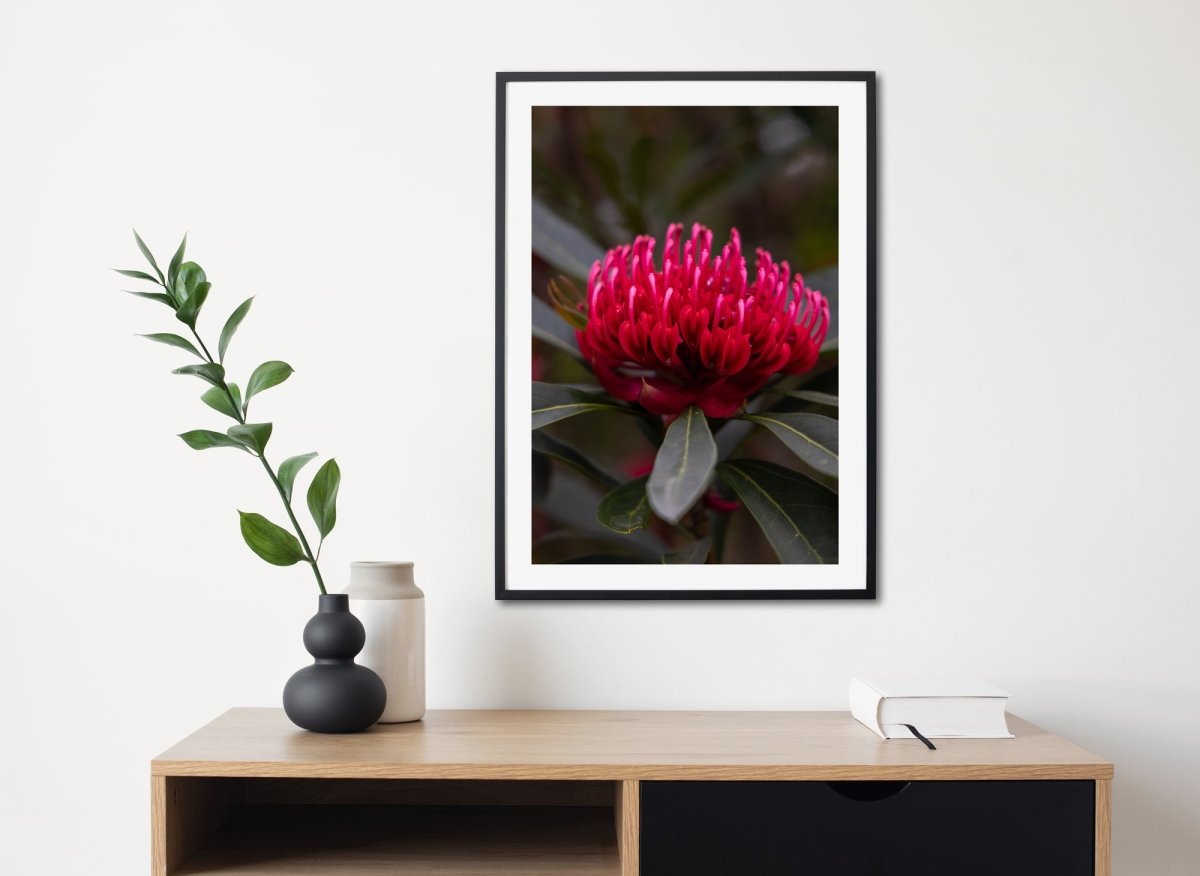 "In Full Bloom" Photography Print - Belinda Doyle - Australian Photographer & Resin Artist