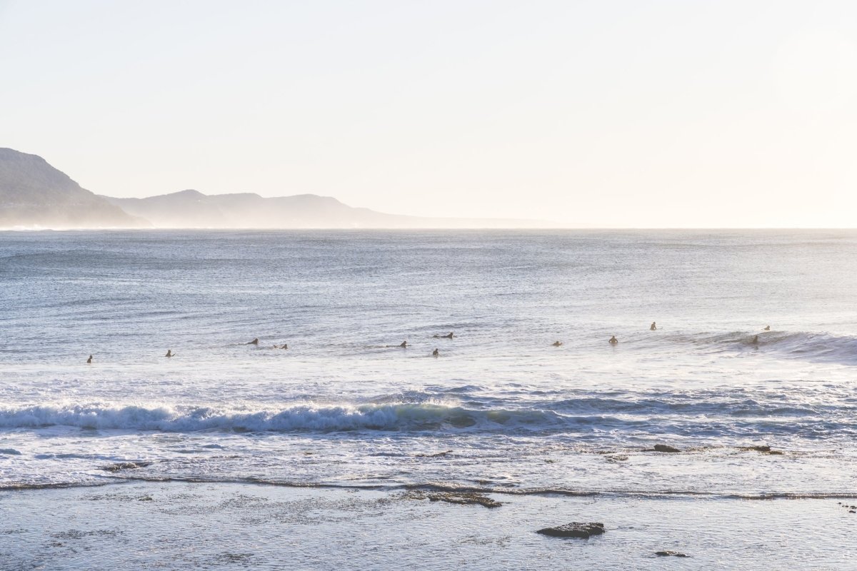 "Morning Wait" Photography Print - Belinda Doyle - Australian Photographer & Resin Artist