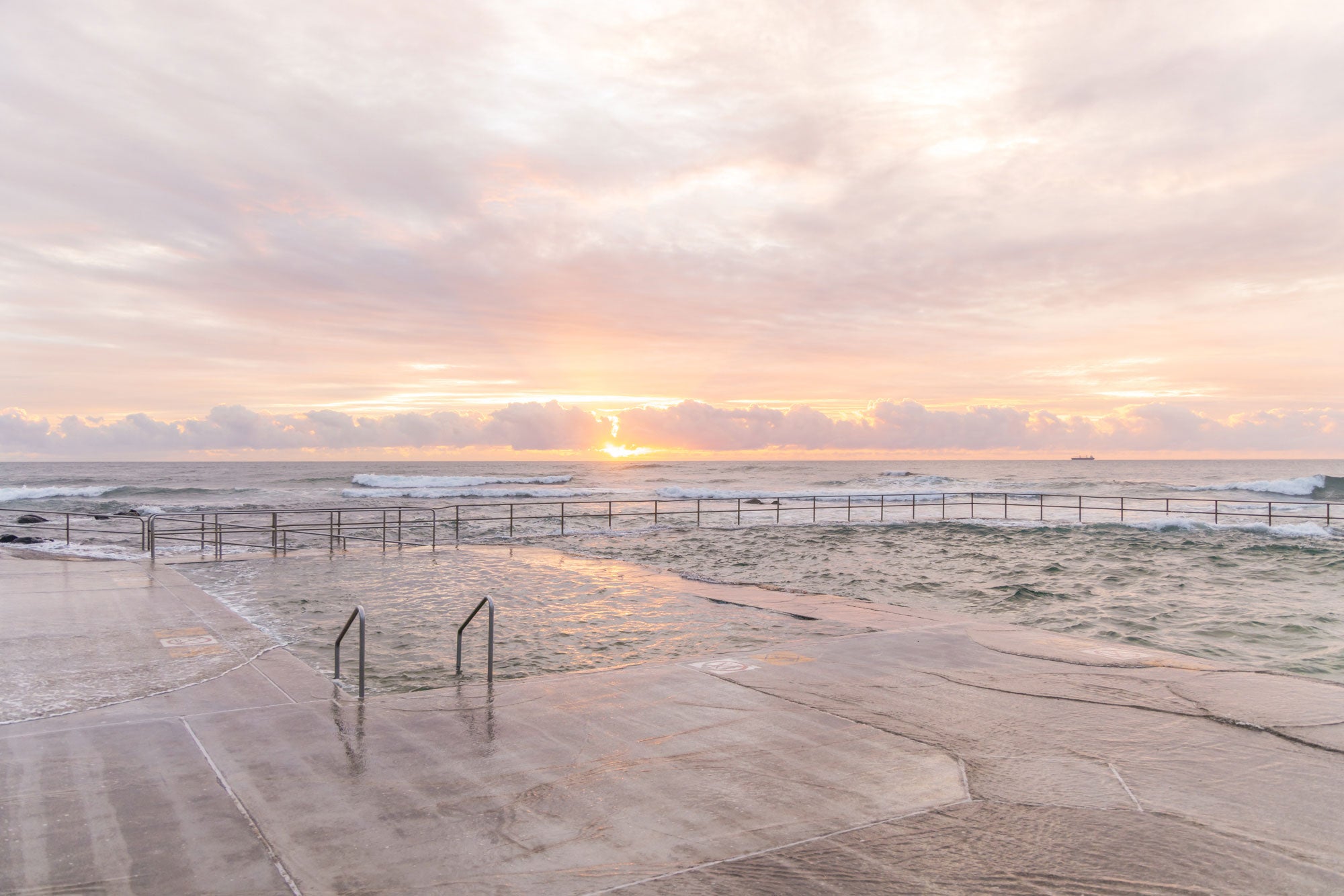 "Morning in Bloom" Photography Print - Belinda Doyle - Australian Photographer & Resin Artist