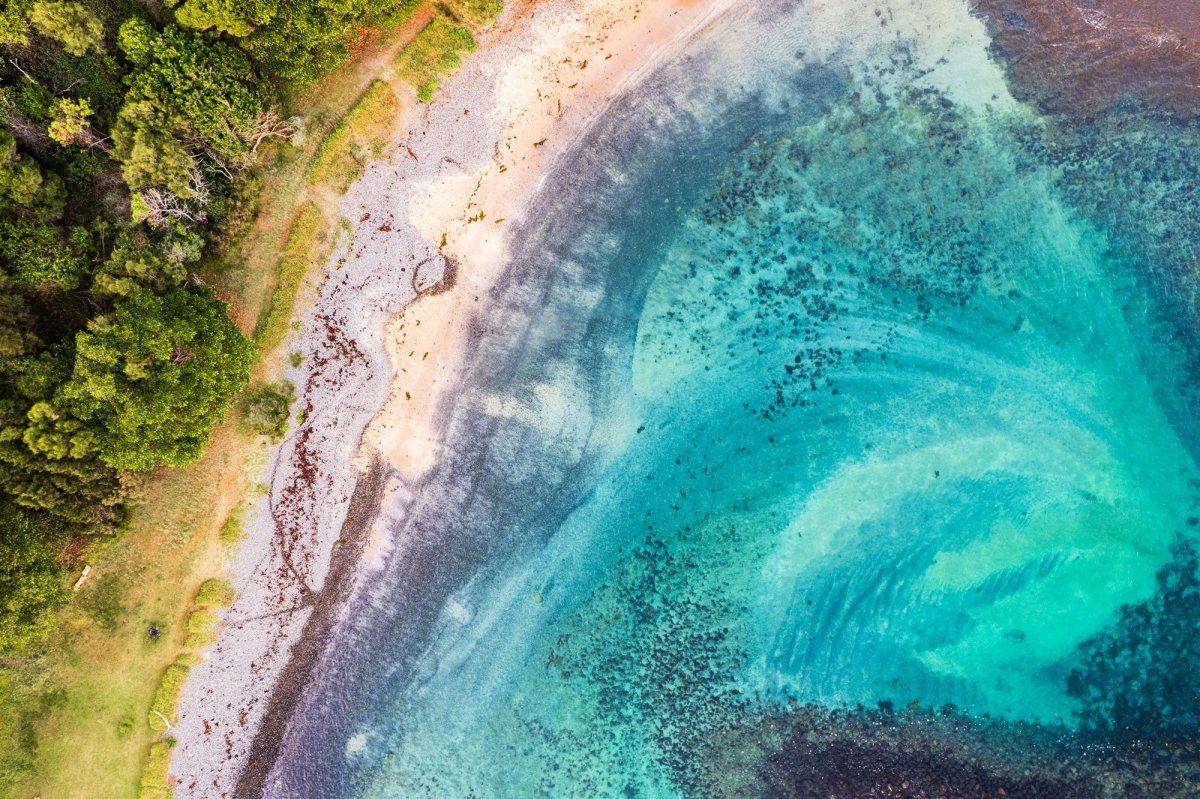 "Nature’s Graffiti" Photography Print - Belinda Doyle - Australian Photographer & Resin Artist