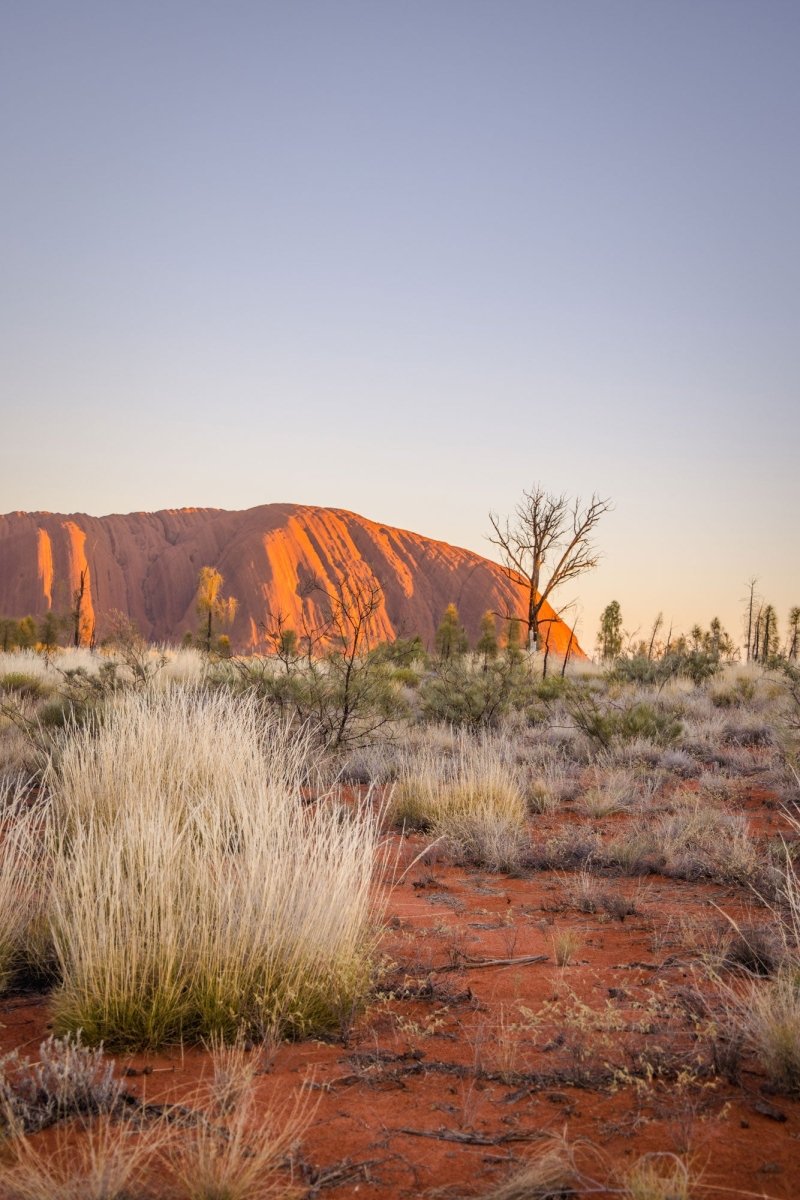 "Nature’s Portrait" Uluru Sunrise Photography Print - Belinda Doyle - Australian Photographer & Resin Artist