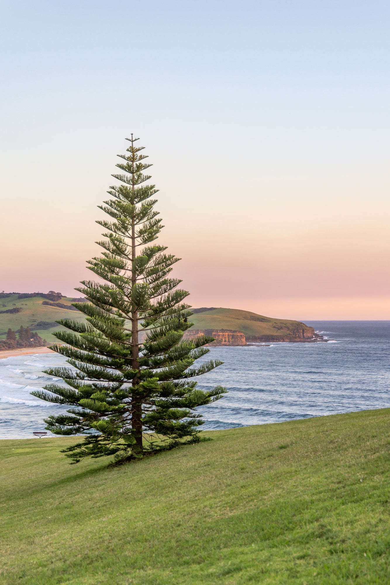 "Norfolk Light" Photography Print - Belinda Doyle - Australian Photographer & Resin Artist