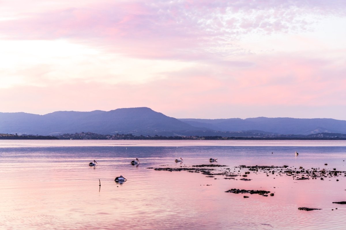 "Pelican Haven" Photography Print - Belinda Doyle - Australian Photographer & Resin Artist