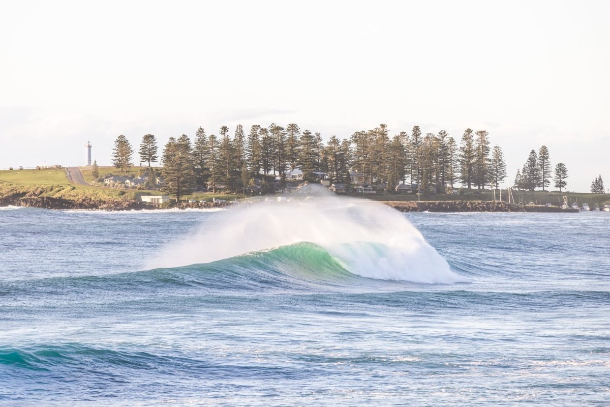 "Pines Over the Break" Photography Print - Belinda Doyle - Australian Photographer & Resin Artist