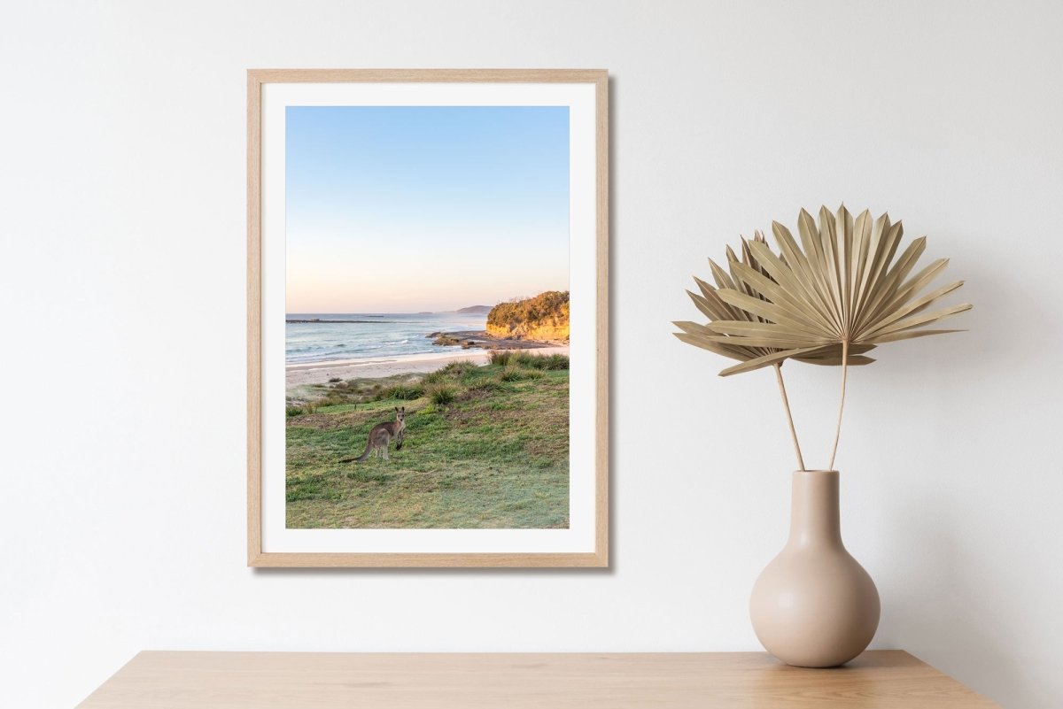 "Roo with a View" Kangaroo Photography Print - Belinda Doyle - Australian Photographer & Resin Artist