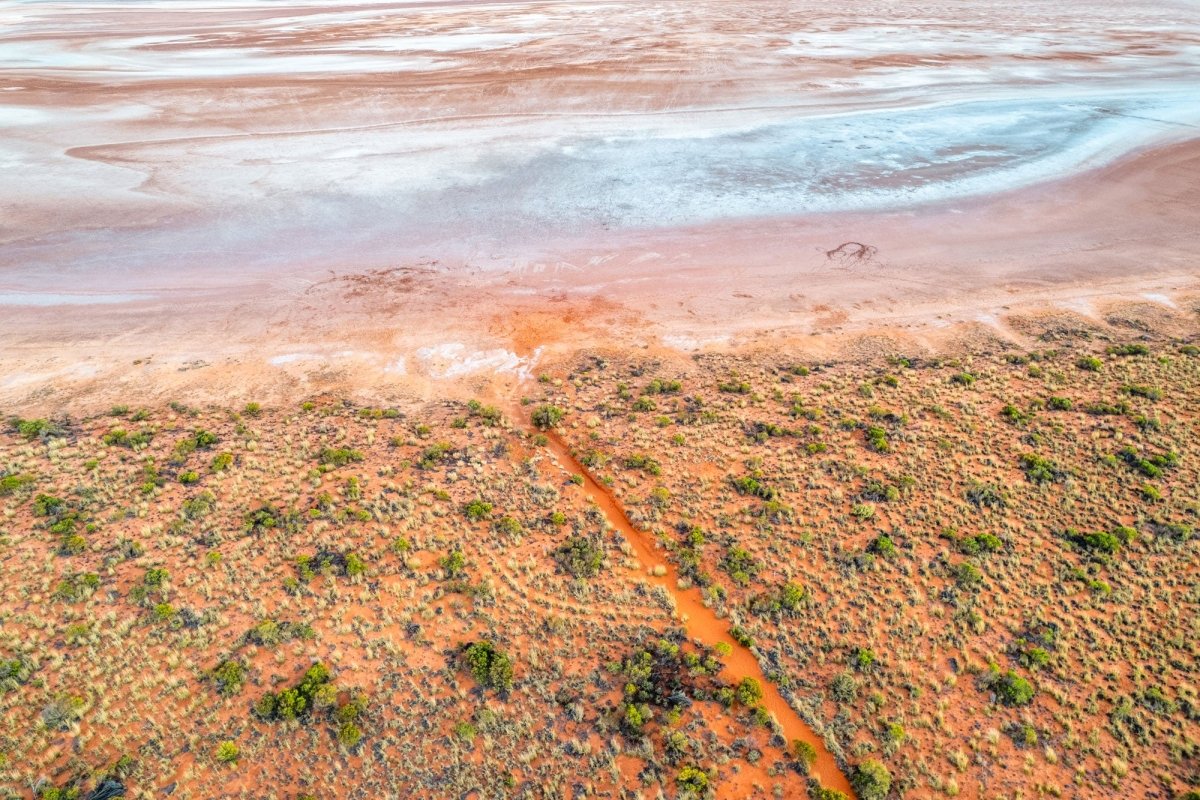 "Salt Scribbles" Photography Print - Belinda Doyle - Australian Photographer & Resin Artist