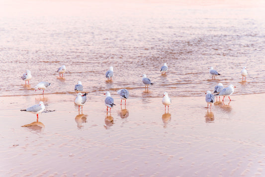 Tabourie "Faux Flamingos" Acrylic Block