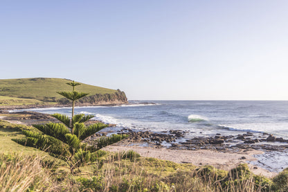 "Shelley’s Shoreline" Photography Print