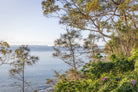 "Through the Bush to the Bay" Photography Print - Belinda Doyle - Australian Photographer & Resin Artist