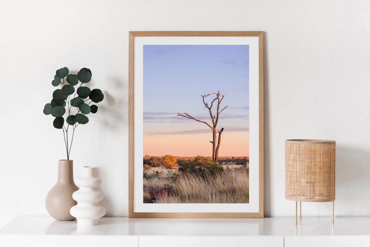 "Twisted Dawn" Photography Print - Belinda Doyle - Australian Photographer & Resin Artist
