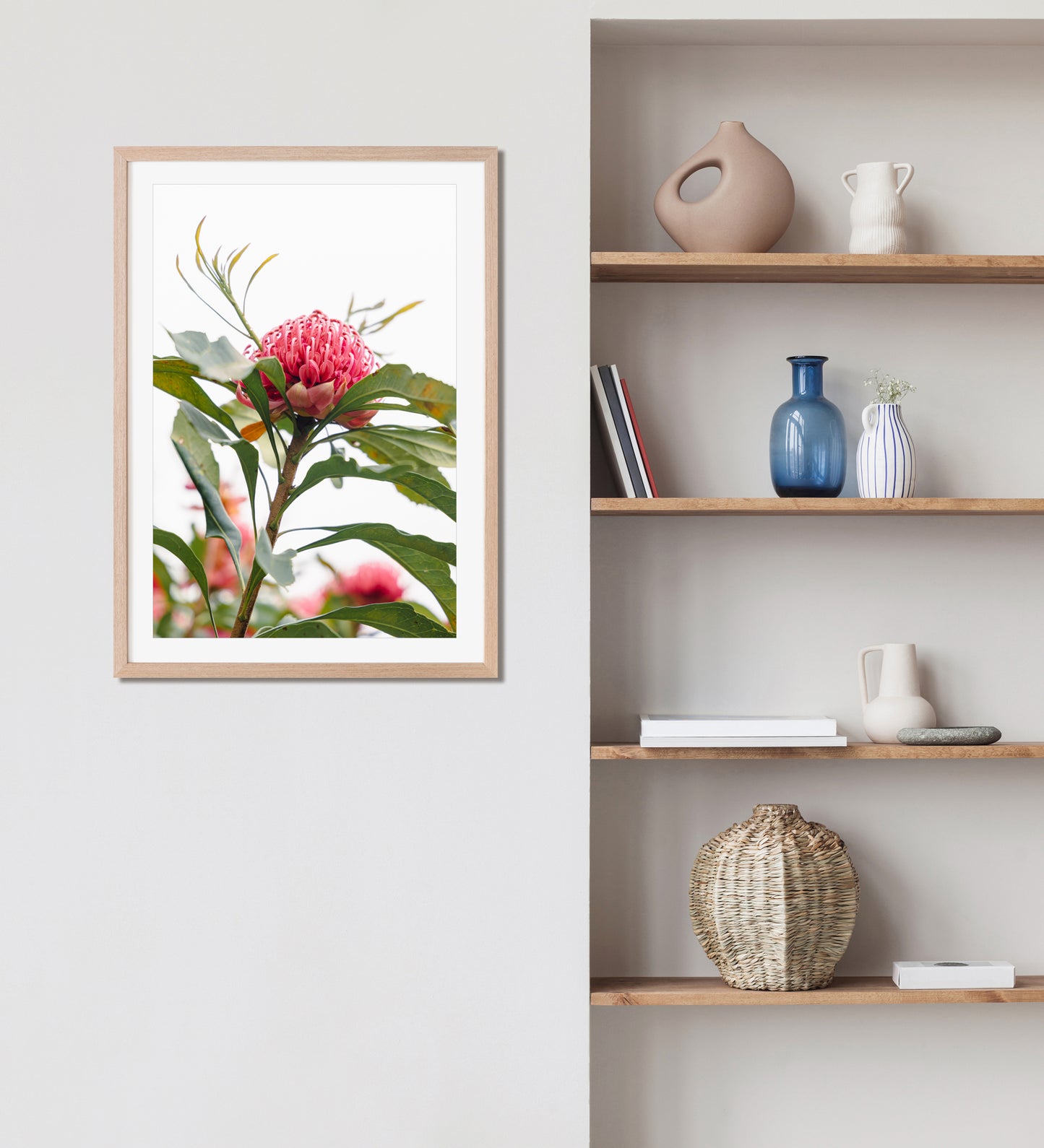 "Waratah Dream" Photography Print