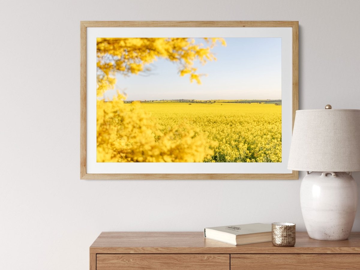 "Wattle’s Window" Photography Print - Belinda Doyle - Australian Photographer & Resin Artist